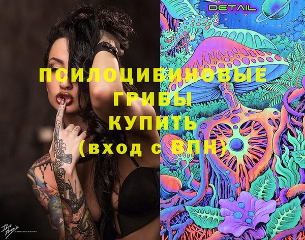 ПСИЛОЦИБИНОВЫЕ ГРИБЫ Каменногорск
