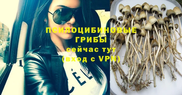 ешки Инта