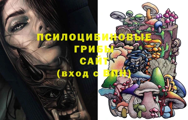 ешки Инта