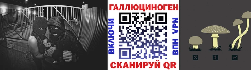 Галлюциногенные грибы MAGIC MUSHROOMS  закладка  Сим 